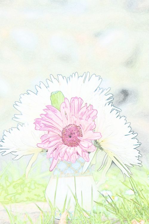 Flower In Vase Sketch