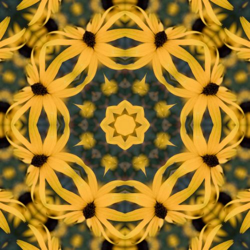 Flower Kaleidoscope