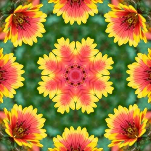Flower Kaleidoscope 2