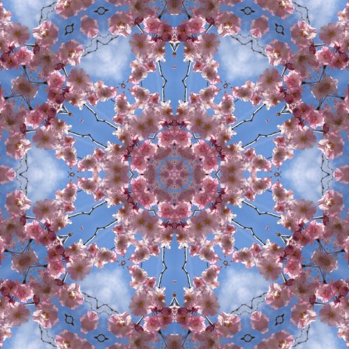 Flower Kaleidoscope 4