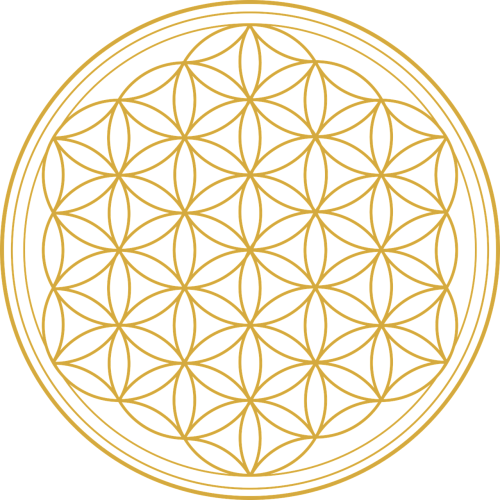flower of life flower graphic