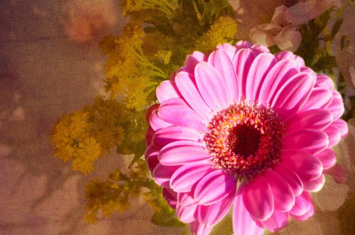 Flower On Floral Background