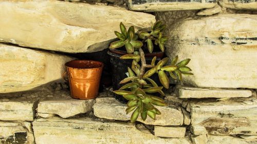 flower pot wall stone