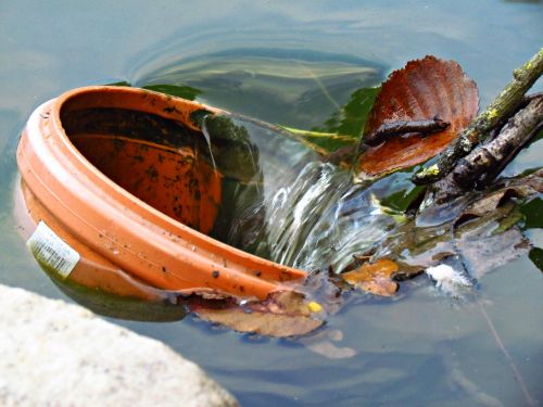 flower pot water various