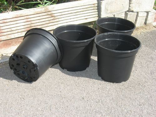 flower pots plant pot pots