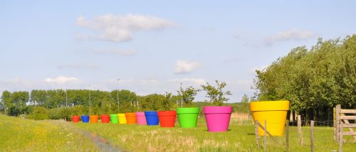 flower pots along the highway summer