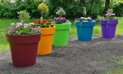 flower pots large park