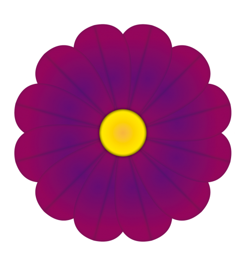 flower purple colors flowers