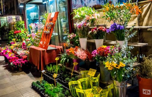 flower shop night street