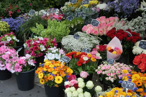 flower stall market flowers