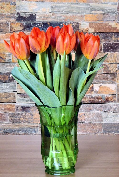 flower vase tulips spring