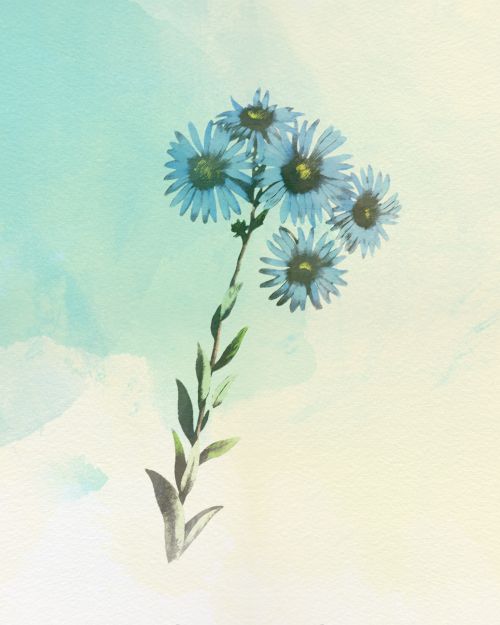 Flower Watercolour Painting