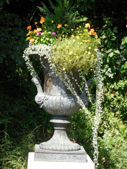 Flowering Container