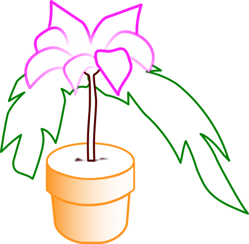 flowerpot potted plant flower