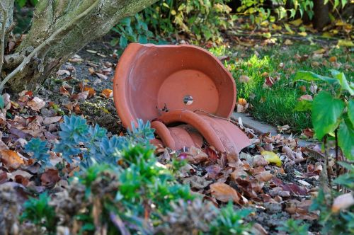 flowerpot broken autumn mood