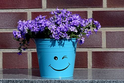 flowerpot deco smiley