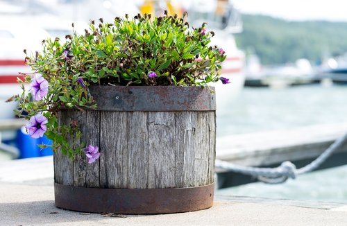 flowerpot  flowers  wood