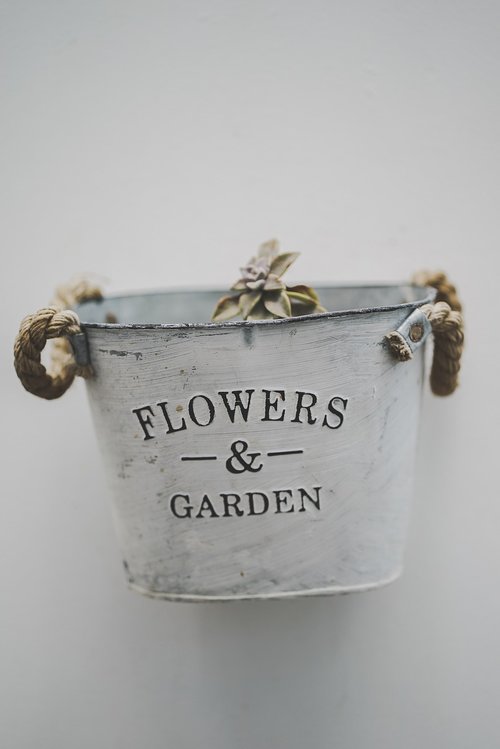 flowerpot  garden  pot