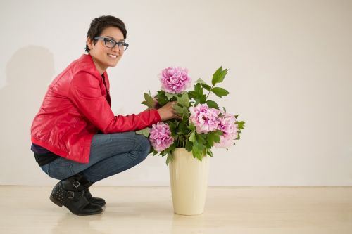 flowerpots plant garden