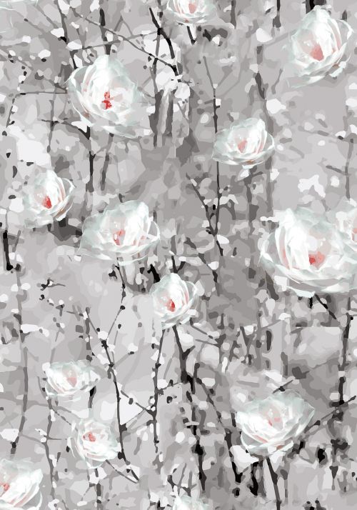 flowers white snow