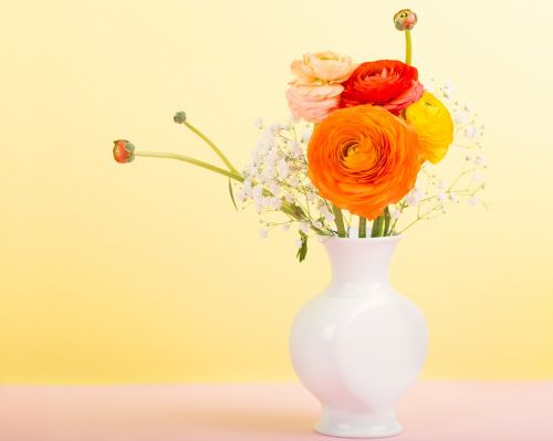 flowers flower vase ranunculus