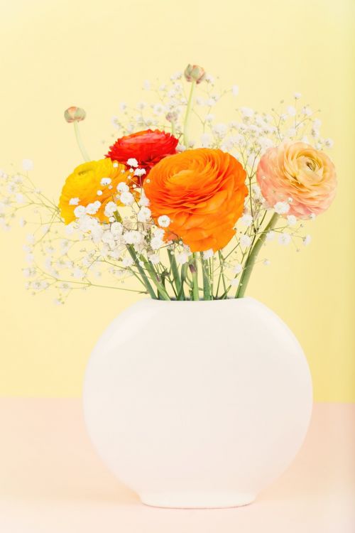 flowers flower vase ranunculus