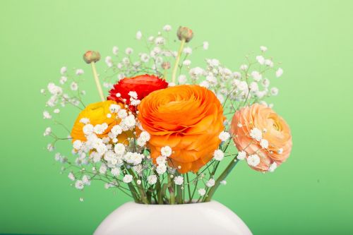 flowers ranunculus bouquet