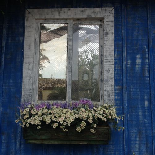 flowers window balcony