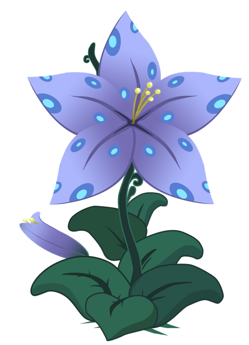 flowers lili plant