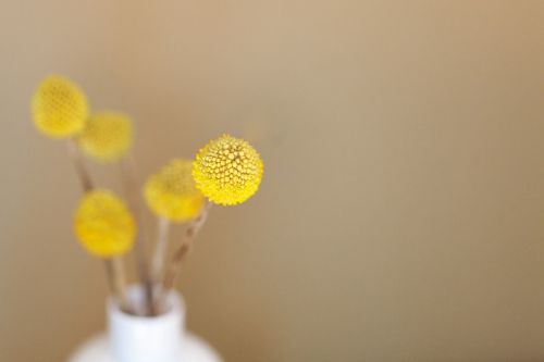 flowers yellow vase