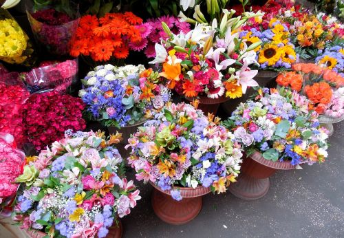 flowers market flowers was