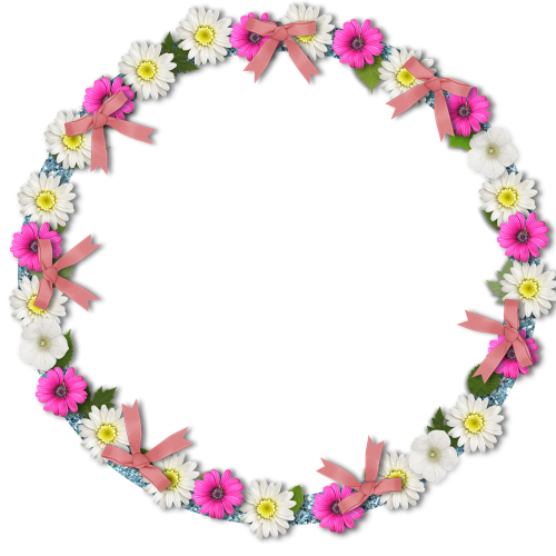 flowers frame pink