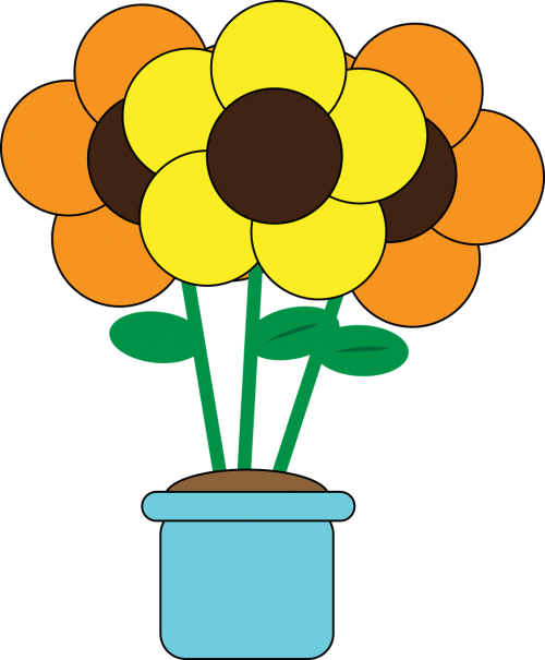 flowers flower pot gardening