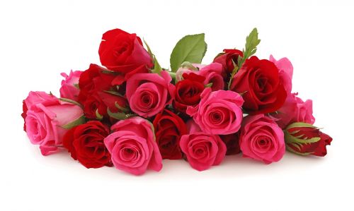 flowers roses romance