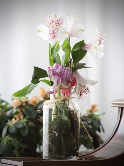 flowers vase desktop