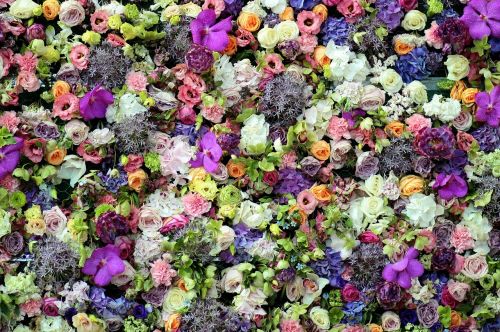 flowers carpet coloring