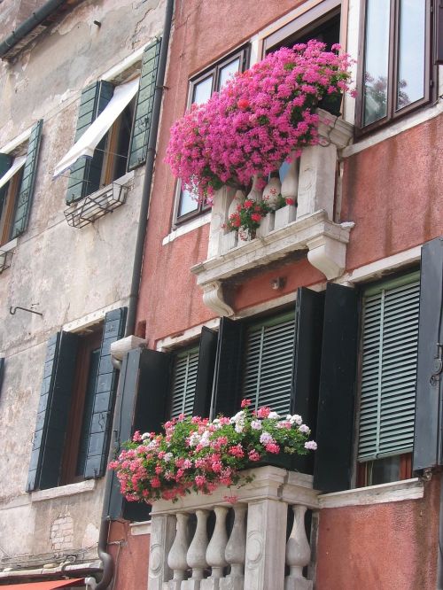 flowers window garnished