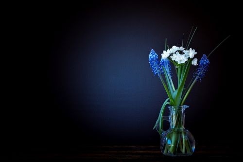 flowers vase glass