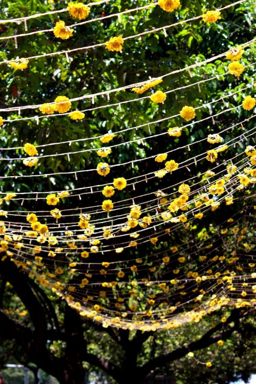 flowers garland decoration