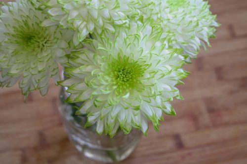 flowers white green