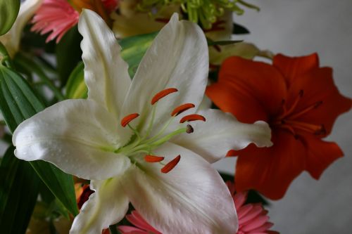 flowers bouquet close up