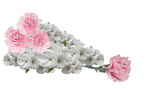 flowers bouquet decoration