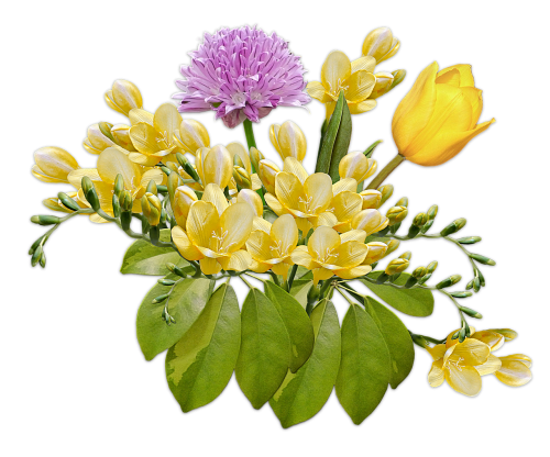 flowers bouquet posy