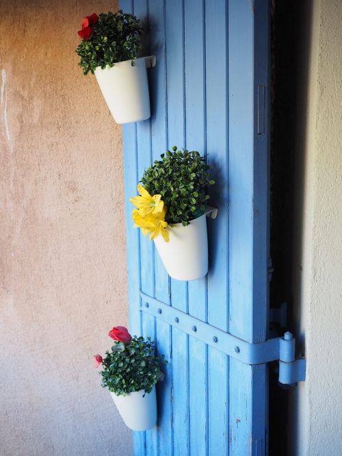 flowers door flower pots