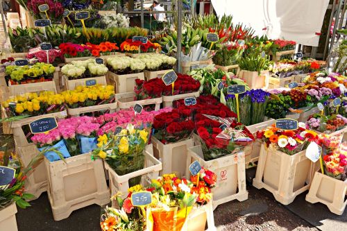 flowers florist flower stall