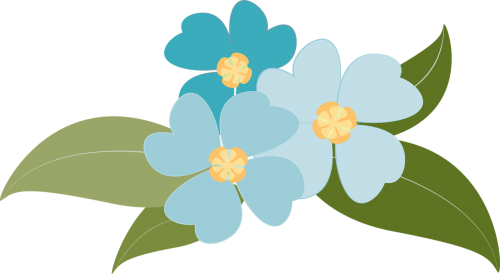 flowers plants blue