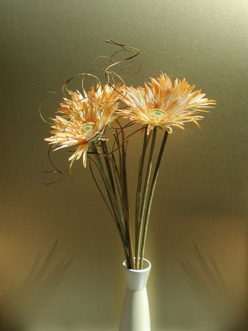 flowers vase floral
