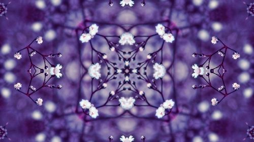 flowers kaleidoscope violet