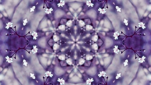 flowers kaleidoscope violet