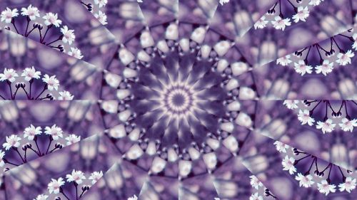 flowers kaleidoscope violet
